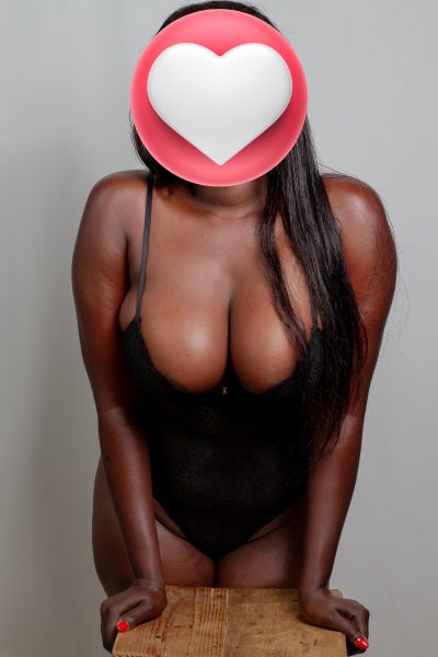 Paloma — 2